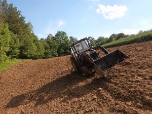 Massey Ferguson 255 Brony 4