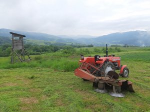 Massey Ferguson 255 z kosiarką