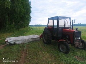 MF 255 + Lely splendimo 280