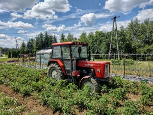 Ursus C-360 & Obsypnik