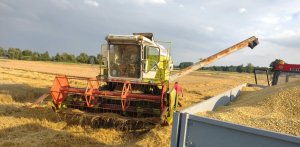 Claas Dominator 96