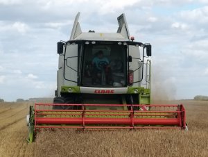 Jęczmień ozimy & Tucano 320 