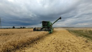 john Deere 1470 jęczmień kws higgins 7.7.2022