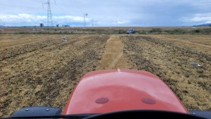 Landstal Skimmer 250