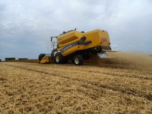 New Holland młóci Sandrę