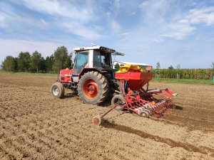 Massey Ferguson 3050 & Accord