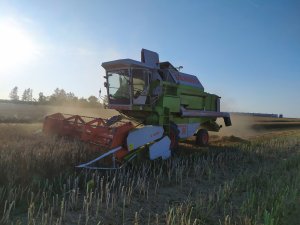 Claas Dominator 96