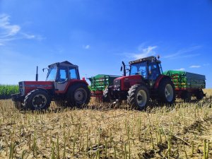 Massey Ferguson 6260 Massey Ferguson 294s Pronar