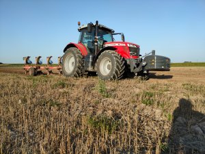 Massey Ferguson 7715s unia Ibis XXL 5