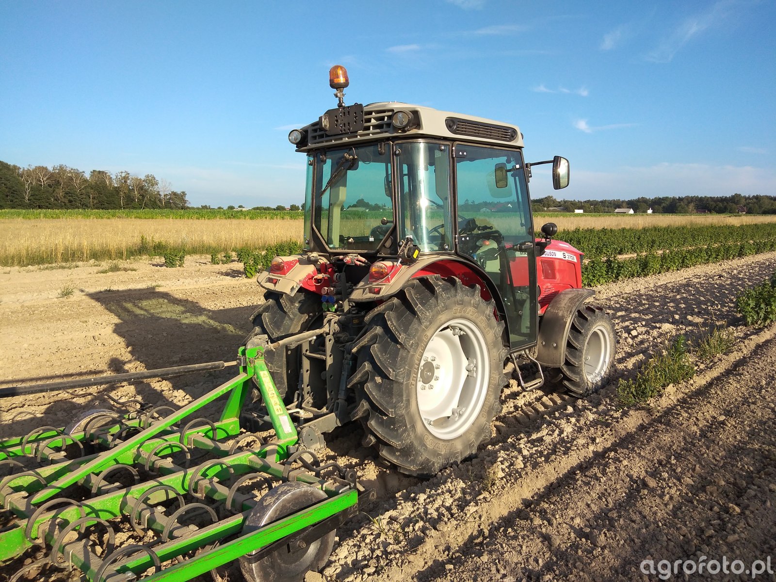 Obraz traktor MF 3708S id:818443 - Galeria rolnicza agrofoto