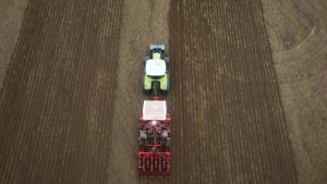 Pasowe Siewy Rzepaku 2022