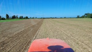 rzepak LG ambasador 29.08.2022