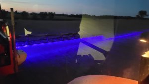 rzepak LG ambasador 29.08.2022