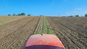 rzepak LG ambasador 29.08.2022