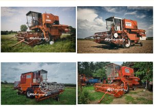 BIZON Z055 America/BIZON Z055 Hydrostatic