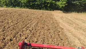 Steyr 8065 Turbo vs Talerzówka