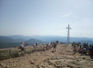 Tarnica w Bieszczadach