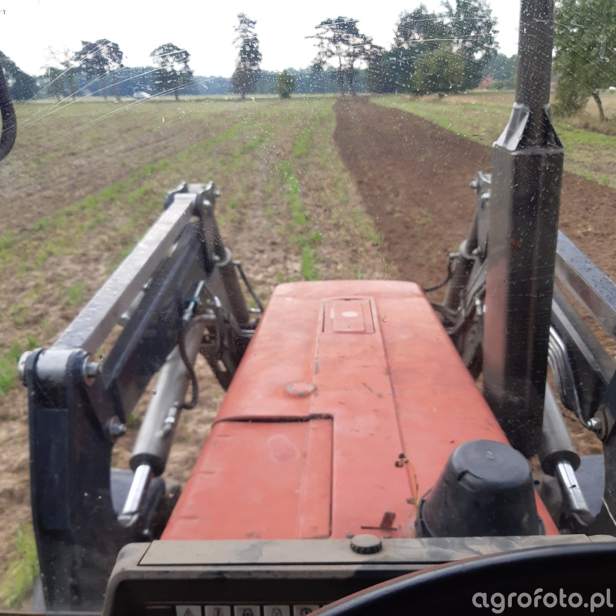 Uprawa Pod Rzepak Zdj Cie Fotka Foto Numer Galeria Rolnicza Agrofoto