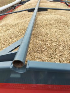 Zetor 5211 Metal Fach T710 akcja pszenica 2022