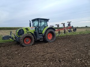 Claas Arion 620 Vogel Noot m850