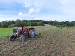 Massey Ferguson 255 & kultywator