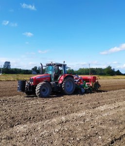 Massey Ferguson 6475 + Tolmet + Polonez 550 