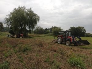 MF 255 & Ursus C-330M & Kopaczka