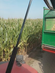 Pioneer 0725