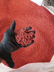 Pszenica RGT Provision