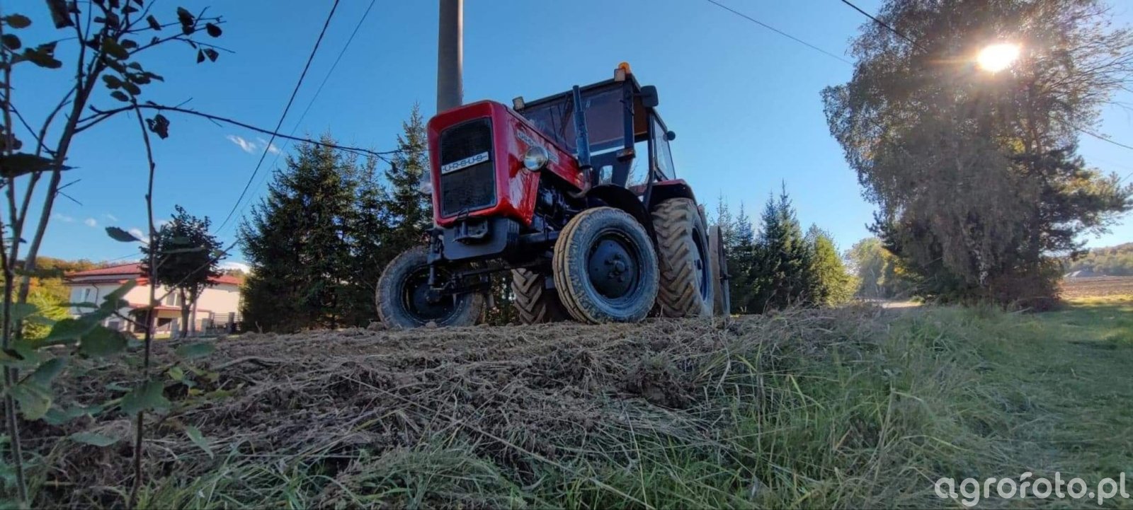 Fotografia Traktor Ursus C 355 820248 Galeria Rolnicza Agrofoto