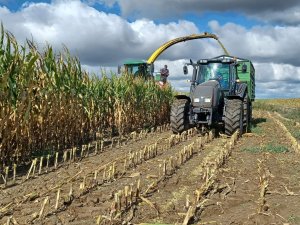 Valtra T131 Hitech i sieczkarnia John deere 6950