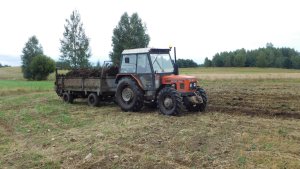 Zetor 7045 i rozrzutnik obornika Czarna Białostocka