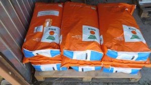 Żyto hybrydowe KWS Igor