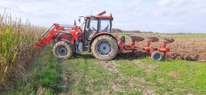 Farmer F-8244 C2 Unia Ibis L 3