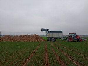 AUTO-AGRO 9 segmentów 