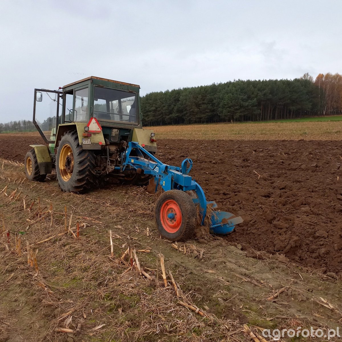 Zdjęcie Ciągnik Fortschritt ZT323A #821400 - Galeria Rolnicza Agrofoto