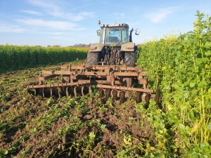 Massey ferguson & BDT