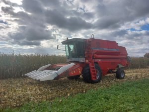 Massey Ferguson 40 RS & Oros 