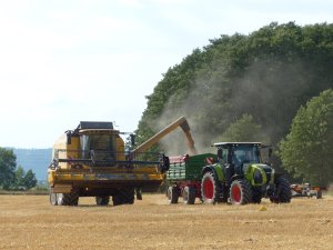 New Holland TC5.80 | Claas Arion 610