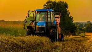 New Holland TD95D