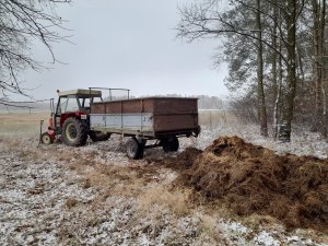 Wywóz obornika Zetor 5211 i rozrzutnik warfama 