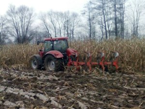 Case IH Maxxum Akpil KM180