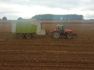 Massey Ferguson 6497 & Claas Cargos 9400