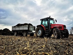 Massey Ferguson 6260 + D-55