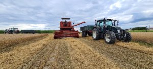 Bizon Z056 & Valtra N113