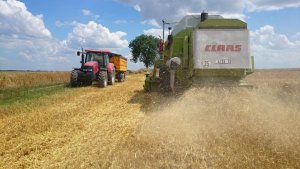 Case 115 i Claas Dominator 86