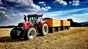 Case CVX 160 + Wielton x2