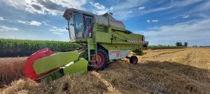 Claas dominator 76