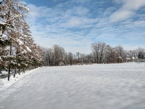 Zimowy Krajobraz