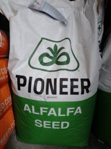 lucerna Pioneer 